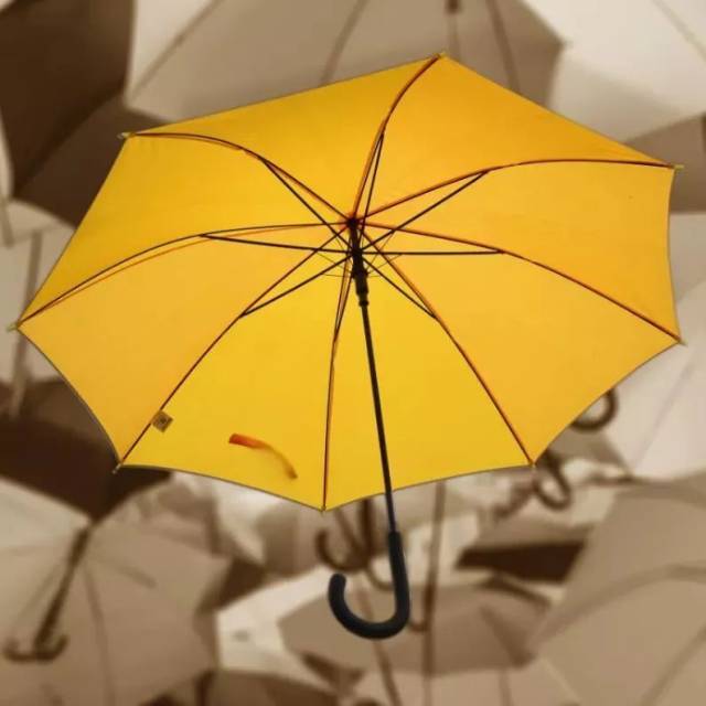 何伟杰哥哥-清远话版泰迪熊