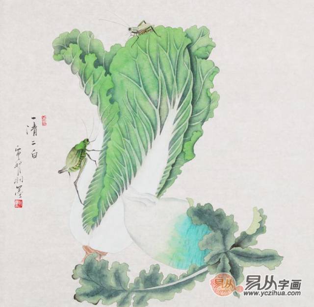 羽墨斗方花鸟画白菜图《一清二白》(作品来源:易从网)