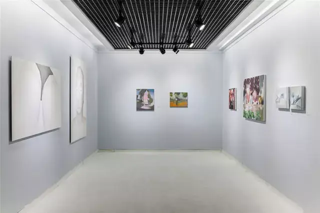 由魏祥奇策展的"青衿计划2018"在正观美术馆开幕