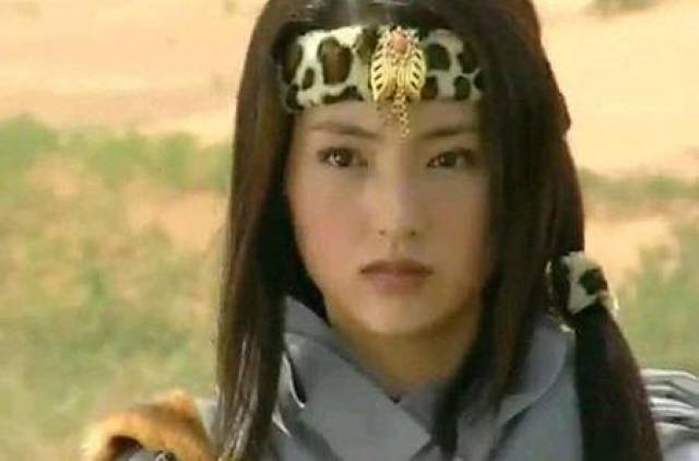 雪花女神龙 《雪花女神龙》主要讲述的是江湖女侠上官燕(女神龙)为