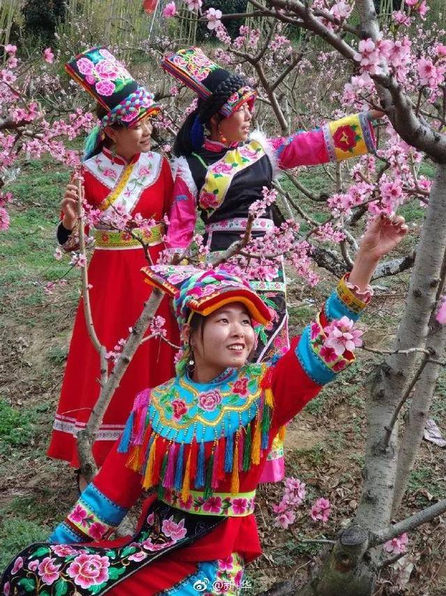 陕西凤县身穿羌族服装的美女在春天比美 你觉得如何?