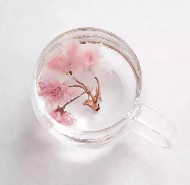 lupicia sakura cha 盐渍樱花茶