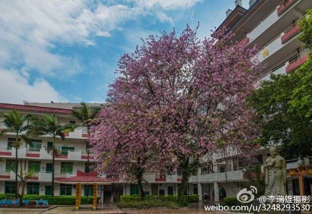 阳山网 来源:清远日报 部分图片来源:@李瑞雄摄影 原标题:阳山中学