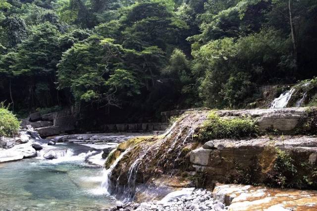 【推荐】贵州大方县油杉河景区