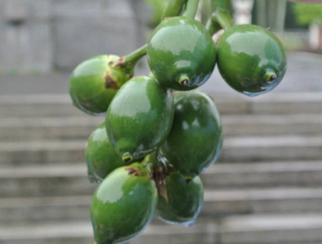 “它”和槟榔都属于一级致癌物，千万谨记！