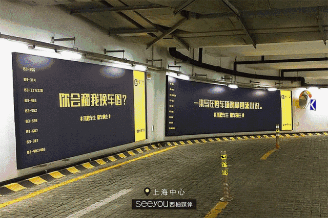 车吗》为主题,共分九个章节,打造 中国第一本写在停车场的章回体小说