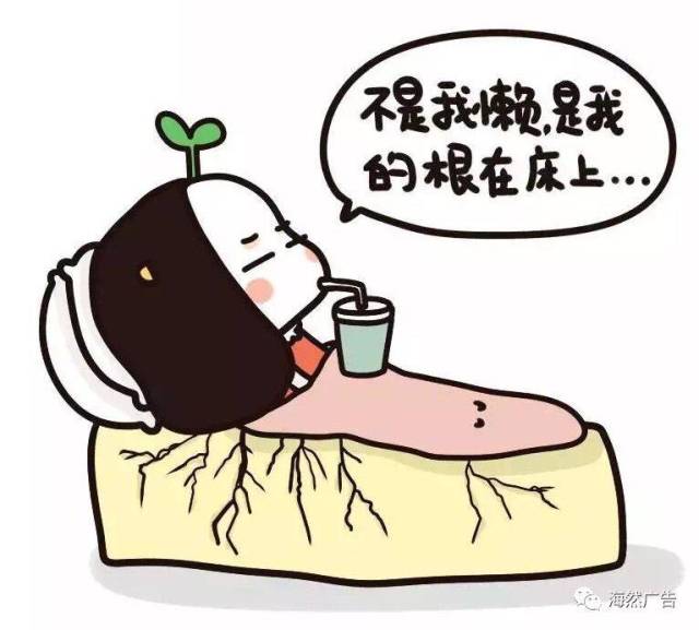 我都懒得说了