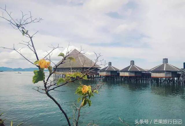 是仙本那潜水最佳也是住宿最贵的岛屿,一晚几千,仍然供不应求,需要