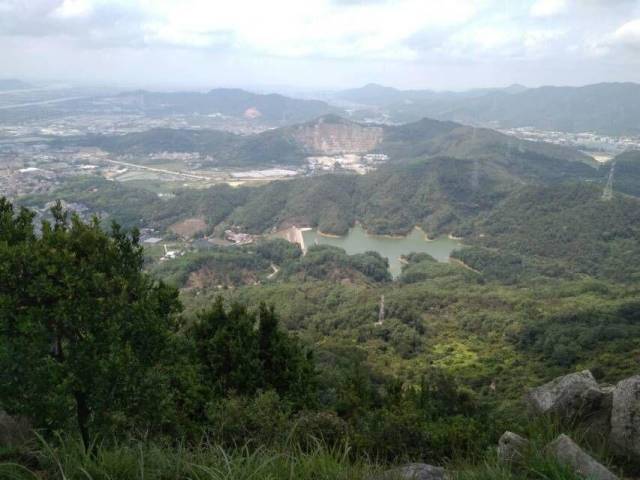 中山神湾丫髻山:菠萝的海