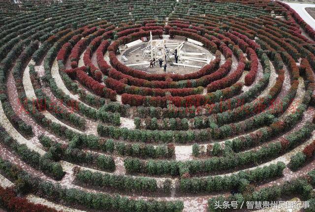 贵州百里杜鹃建巨型花海迷宫,将来去旅游多了一个趣味