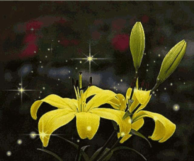 早上好,一首《最美的牵挂》送给我最牵挂的你!祝你平安吉祥!
