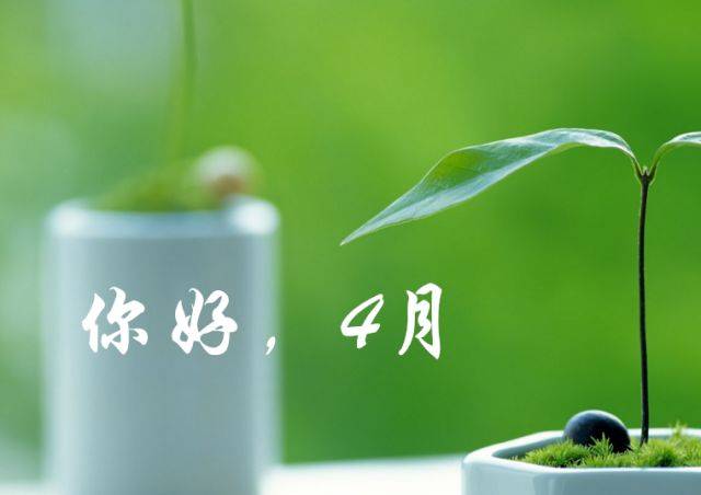 381cc1db7a324a54b408199020a13081.jpeg
