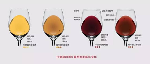看葡萄品种