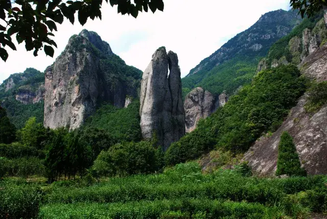 让孩子在行走的课堂中触摸真实的世界,雁荡山推出研学旅行精品线路