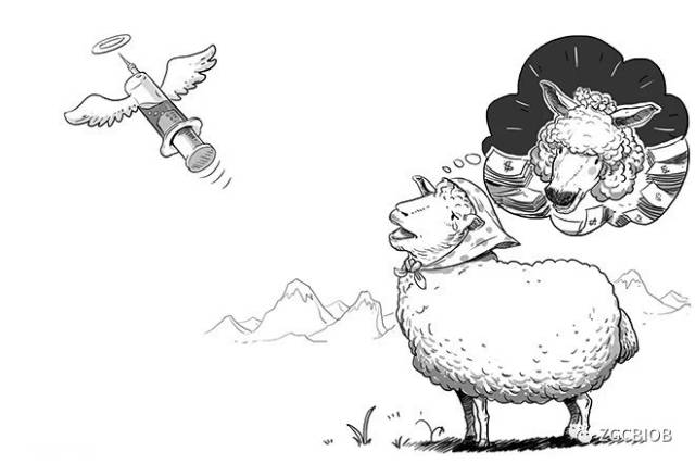 长点心！瑞士早就叫停羊胎素疗法啦！