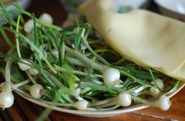 春吃野菜,泰顺人最爱吃的野菜,小长假一起组团摘野菜去吧.