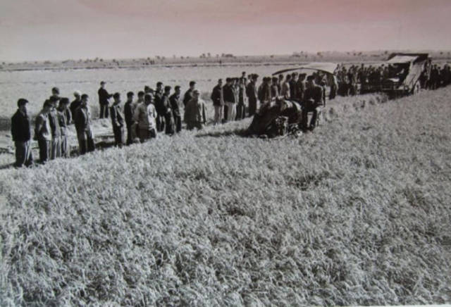 老照片:新中国70年代初期欣欣向荣的农村人民公社