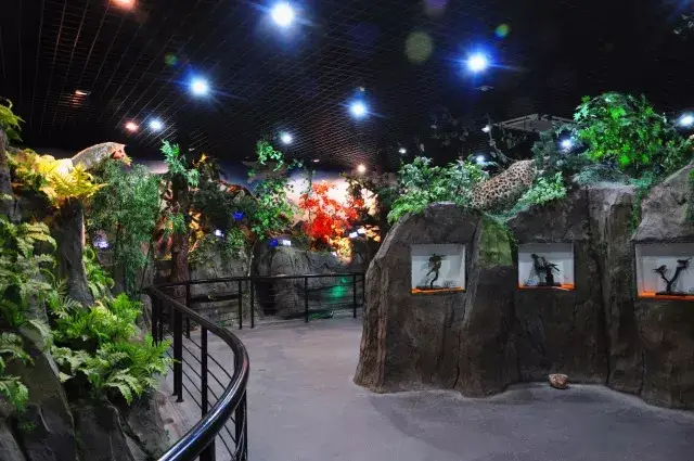 让孩子在行走的课堂中触摸真实的世界,雁荡山推出研学旅行精品线路