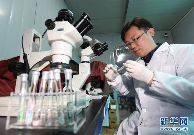 中国科学家开发出"可视化"的"心脏芯片(1)