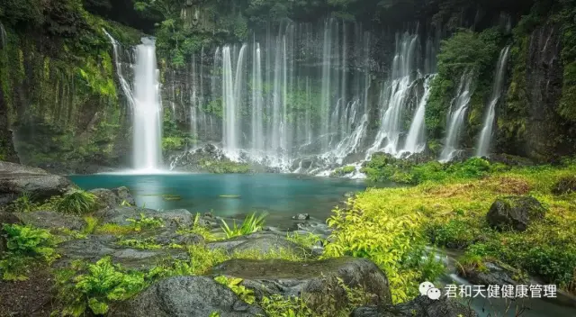 正值樱花烂漫季,富士山旅游景点推荐