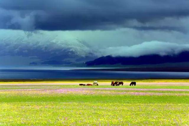 赛里木湖简谱_赛里木湖的云简谱(2)