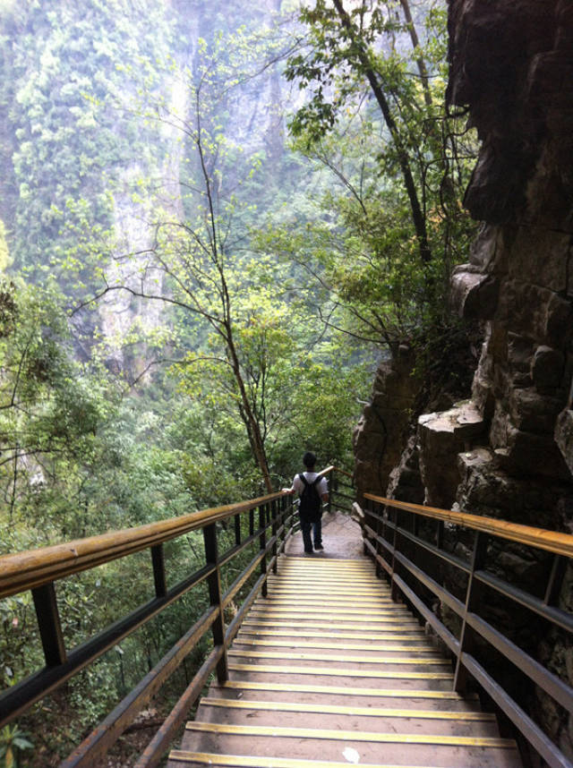 张家界旅游攻略_张家界旅游_张家界当地向导