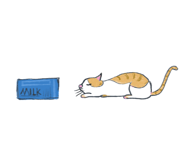 警惕丨猫狗绝对不能吃的食物