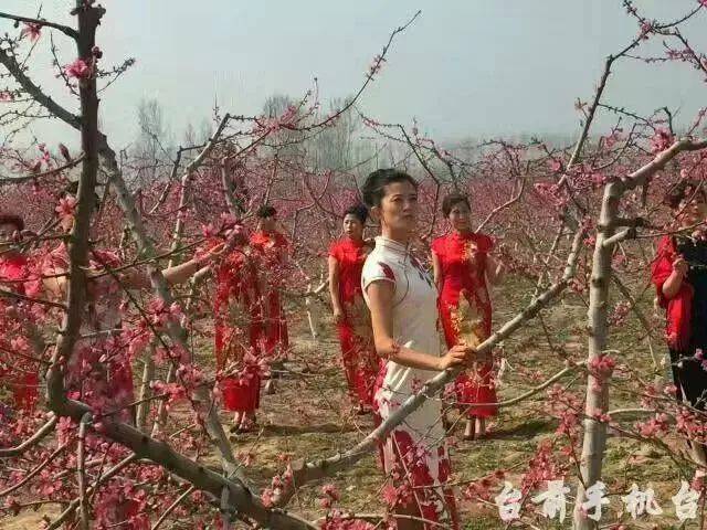 二坝镇经济总量_二坝镇潘慧