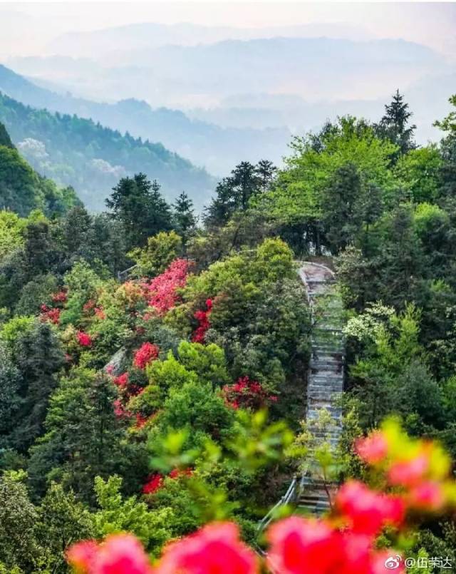 新余的"花痴们"注意啦,错过这些花海再等一年