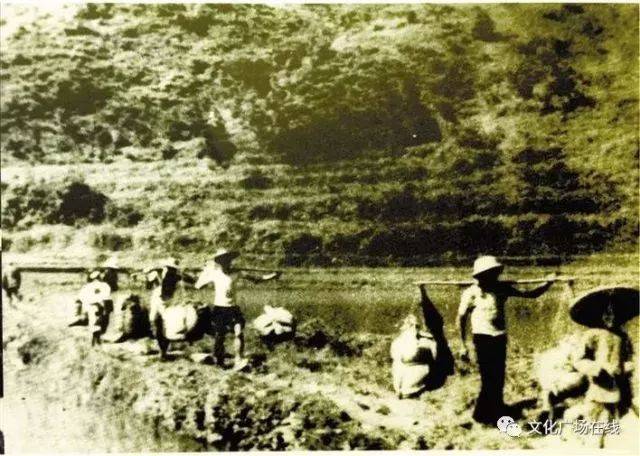 早在1900年孙中山领导和组织的三洲田反清起义中就出现,"大鹏湾海上