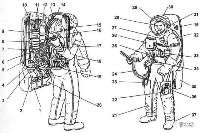 前苏联航天员舱外行动必备!揭秘"海鹰"航天服的结构及型号发展
