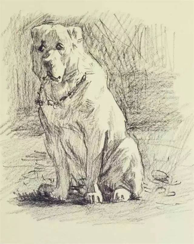 十大猛犬素描画,艺术与野性的碰撞