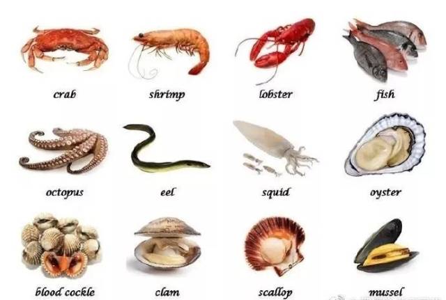「龙虾」,「螃蟹」用英语怎么说?
