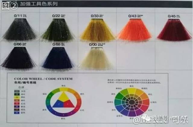 史上最详细的染膏作用的认识:色板的认识和染膏的分类