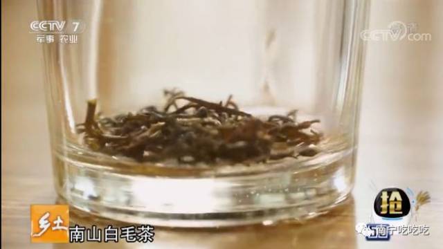 南山白毛茶