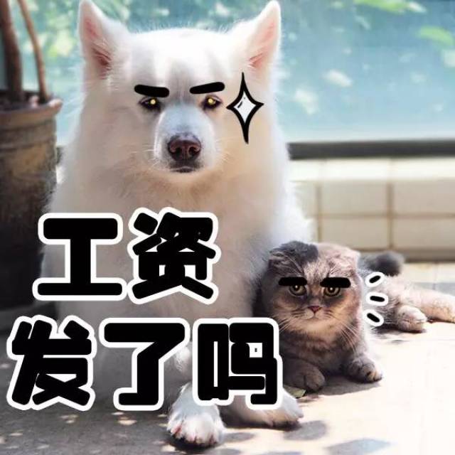 mengchongmeng)即可查看全部% 端午和妞妞新的表情包又来辣 喜欢的