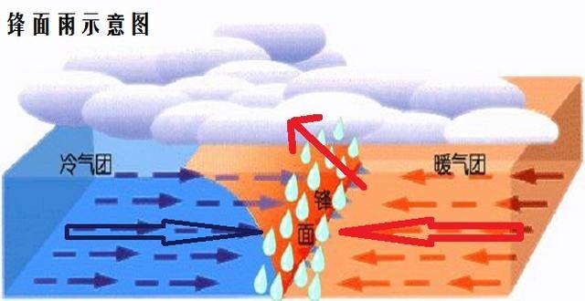 每年梅子成熟时,那场"雨"就必定会如约而至