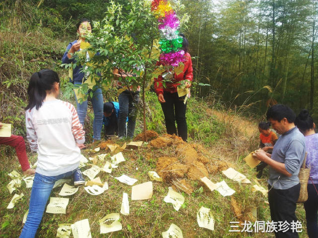 贵州黔东南:带你了解侗族清明节的扫墓风俗