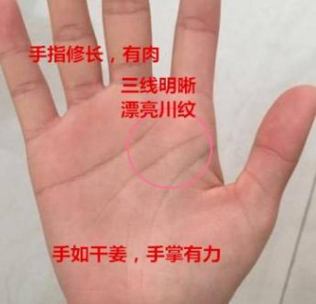 男人手上有这种特征,注定家财渐渐丰厚,迟早富贵享福!