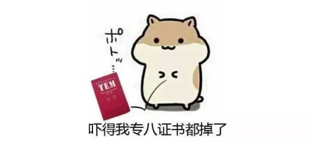 大家好我是渣渣辉图片 fde72dd0d7634d34b381f13c34334f19.jpeg