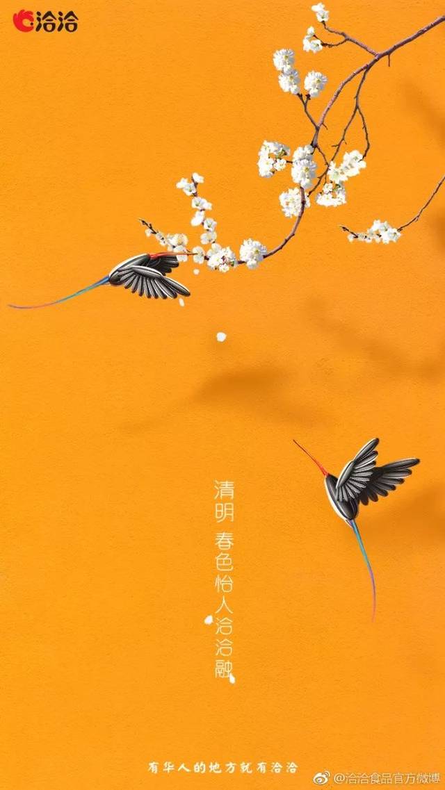 洽洽  