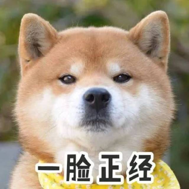 昨天的"缓行"只是"小意思" 今天高速才会真正迎来大考