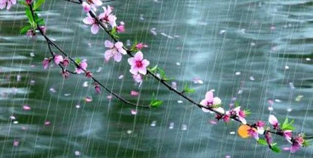 《春夜喜雨》(节选)