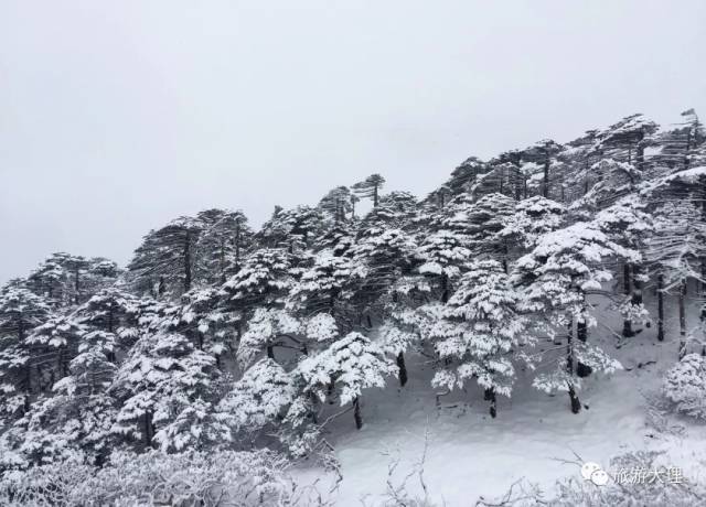 下雪啦下雪啦!今天的苍山,鸡足山上白雪皑皑(视频 图)