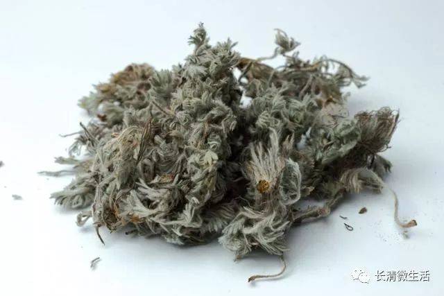 茵陈的功效与作用