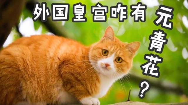 观复猫 黄小仙