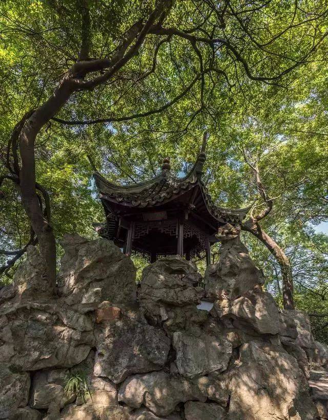 一代园林大师陈从周先生