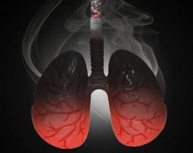 养生专家：最适合吸烟人士的4种食物，想养肺清肺的也别错过