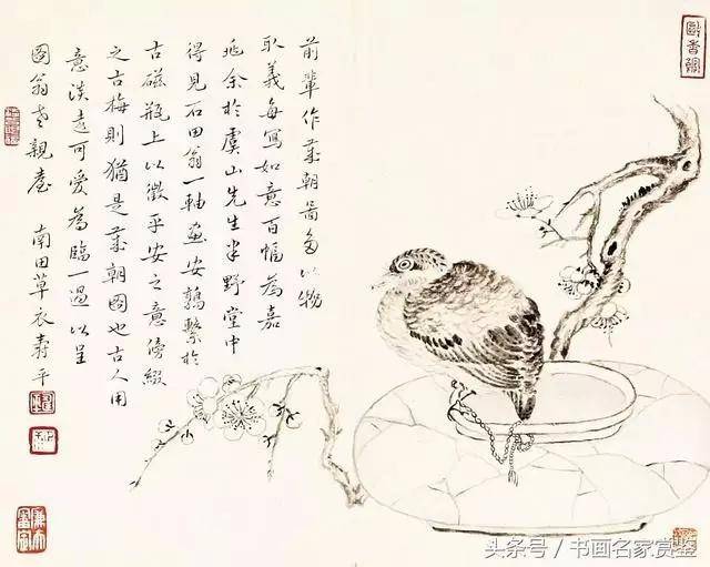 清朝初期最负盛名的花鸟画家,常州画派开创者——恽寿