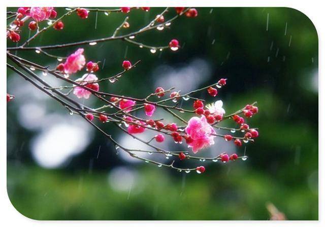 雨水在春天的上空